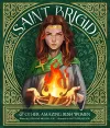 St Brigid & Other Amazing Irish Women cover