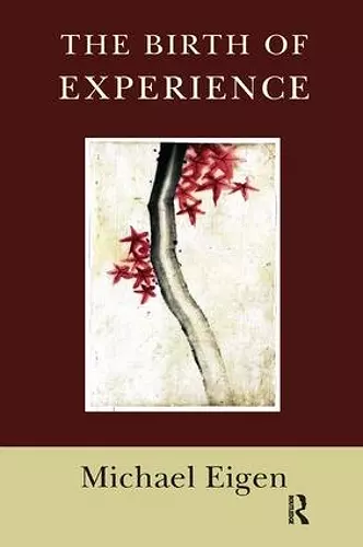 The Birth of Experience cover