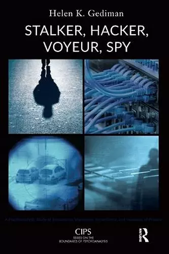 Stalker, Hacker, Voyeur, Spy cover