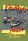 Finding Meili cover