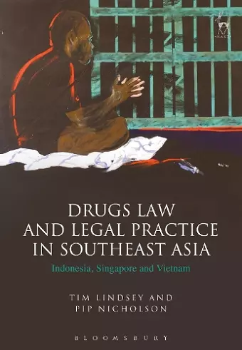 Drugs Law and Legal Practice in Southeast Asia cover
