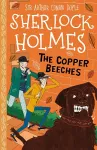 The Copper Beeches (Easy Classics) cover