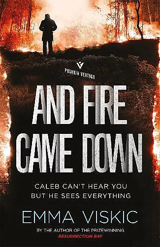 And Fire Came Down cover