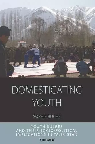 Domesticating Youth cover