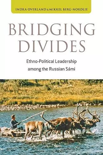 Bridging Divides cover