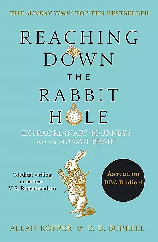 Reaching Down the Rabbit Hole cover
