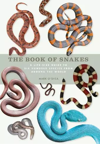 The Book of Snakes cover