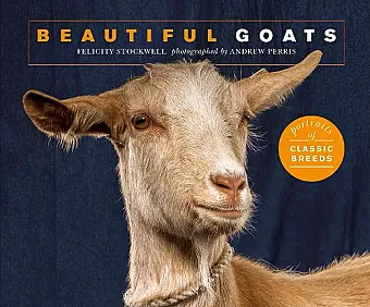 Beautiful Goats cover