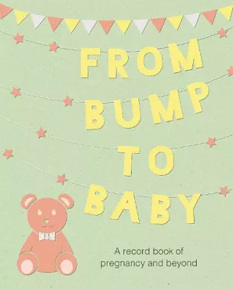 From Bump to Baby cover