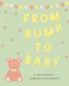 From Bump to Baby cover