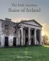 The Irish Aesthete: Ruins of Ireland cover