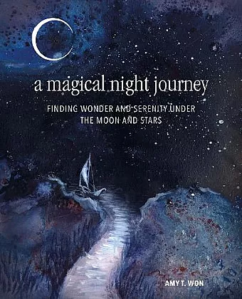 A Magical Night Journey cover