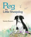 Peg the Little Sheepdog cover