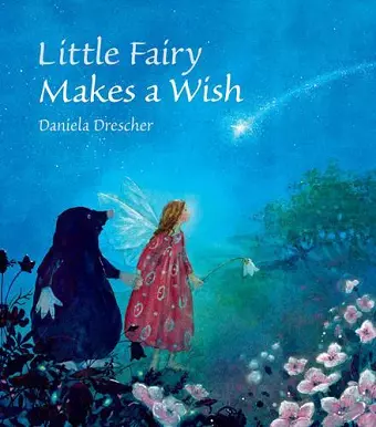 Little Fairy Makes a Wish cover