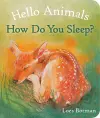 Hello Animals, How Do You Sleep? cover