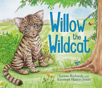 Willow the Wildcat cover