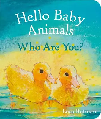 Hello Baby Animals, Who Are You? cover