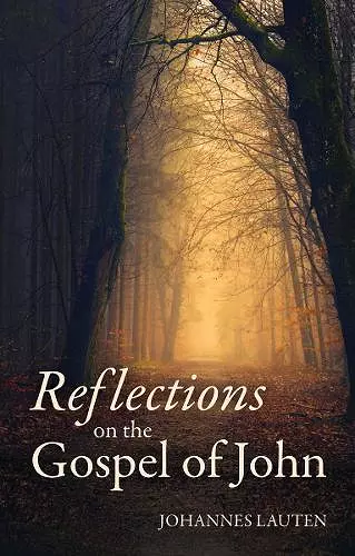 Reflections on the Gospel of John cover