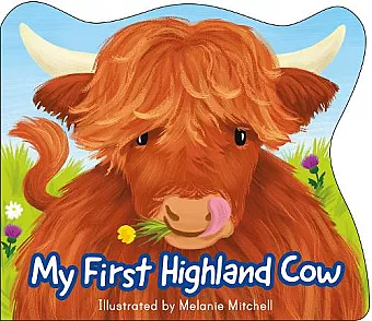 My First Highland Cow cover