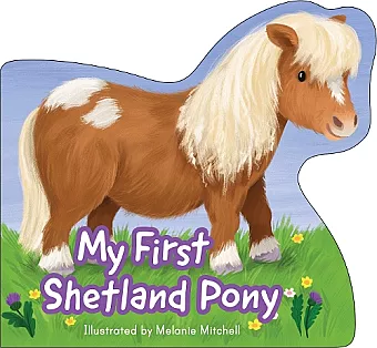 My First Shetland Pony cover