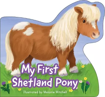 My First Shetland Pony cover