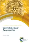 Supramolecular Amphiphiles cover