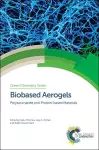 Biobased Aerogels cover