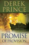 The Promise of Provision cover