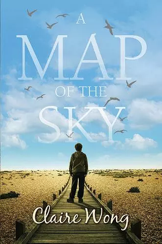 A Map of the Sky cover