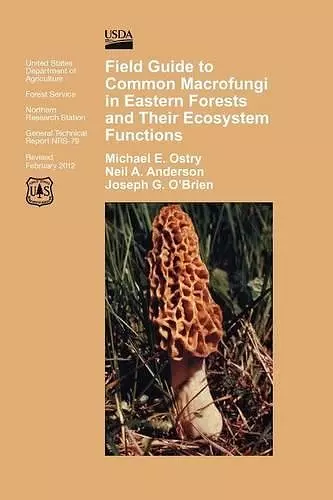 Field Guide to Common Macrofungi in Eastern Forests and Their Ecosystem Function cover