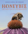 Honeybee cover