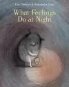 What Feelings Do at Night cover