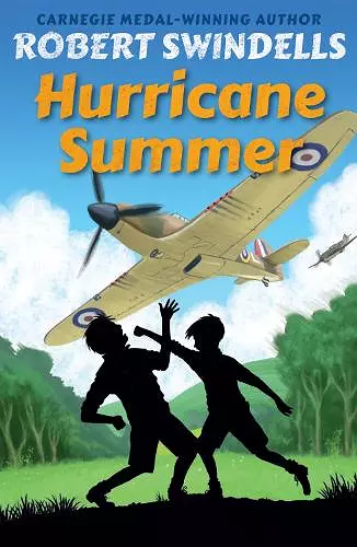 Hurricane Summer cover