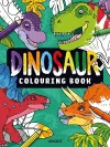 Dinosaur Colouring Book cover