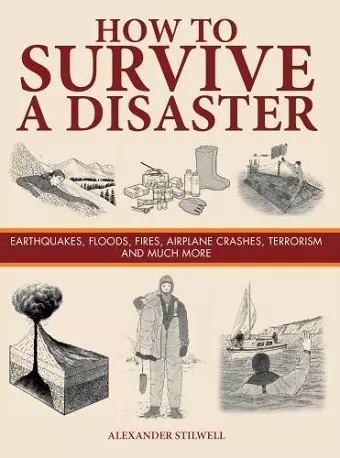 How to Survive a Disaster cover