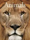 Encyclopedia of Animals cover