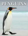 Penguins cover