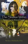 Shaman Within, The – Reclaiming our Rites of Passage cover