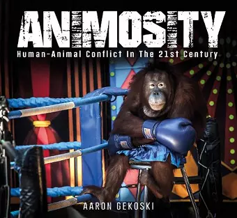 Animosity cover
