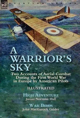 A Warrior's Sky cover