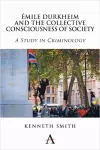 Émile Durkheim and the Collective Consciousness of Society cover