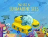 What a Submarine Sees cover