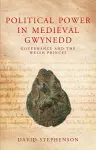 Political Power in Medieval Gwynedd cover