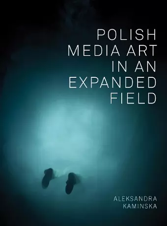 Polish Media Art in an Expanded Field cover