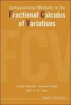 Computational Methods In The Fractional Calculus Of Variations cover