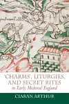 'Charms', Liturgies, and Secret Rites in Early Medieval England cover