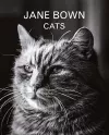 Jane Bown: Cats cover