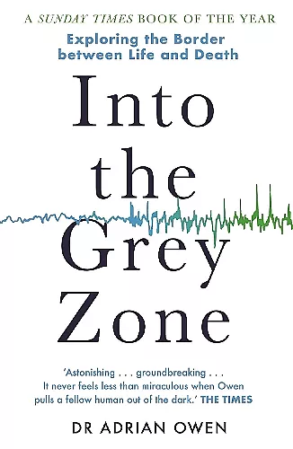 Into the Grey Zone cover