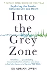 Into the Grey Zone cover
