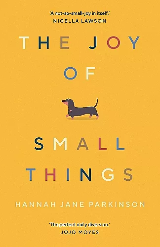 The Joy of Small Things cover